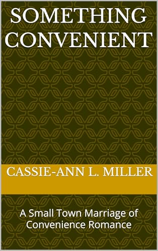 Something Convenient book cover