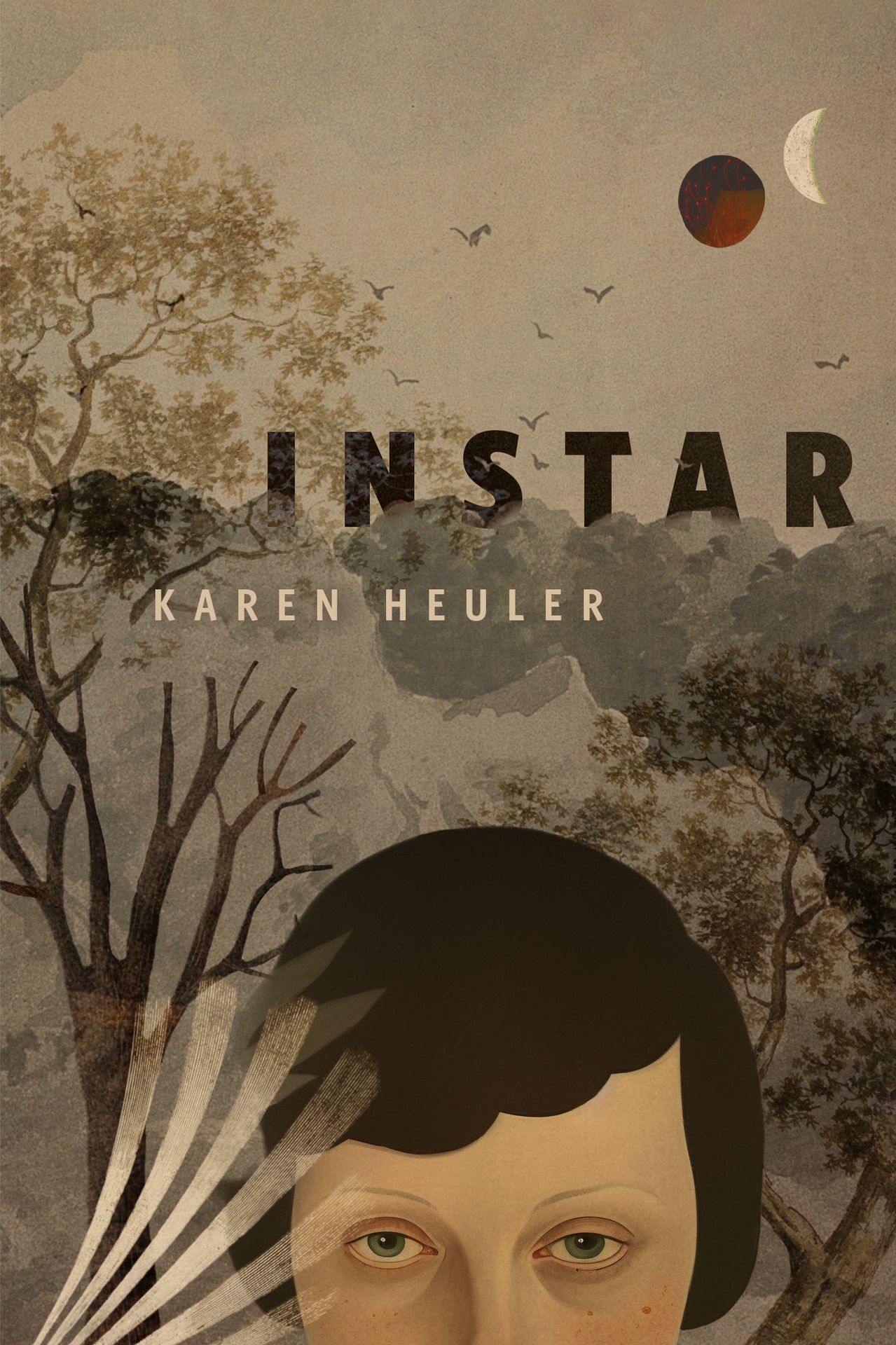 Instar book cover