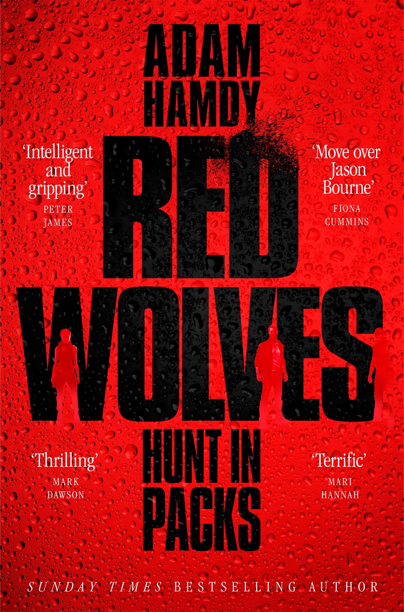 Scott Pearce book cover 2