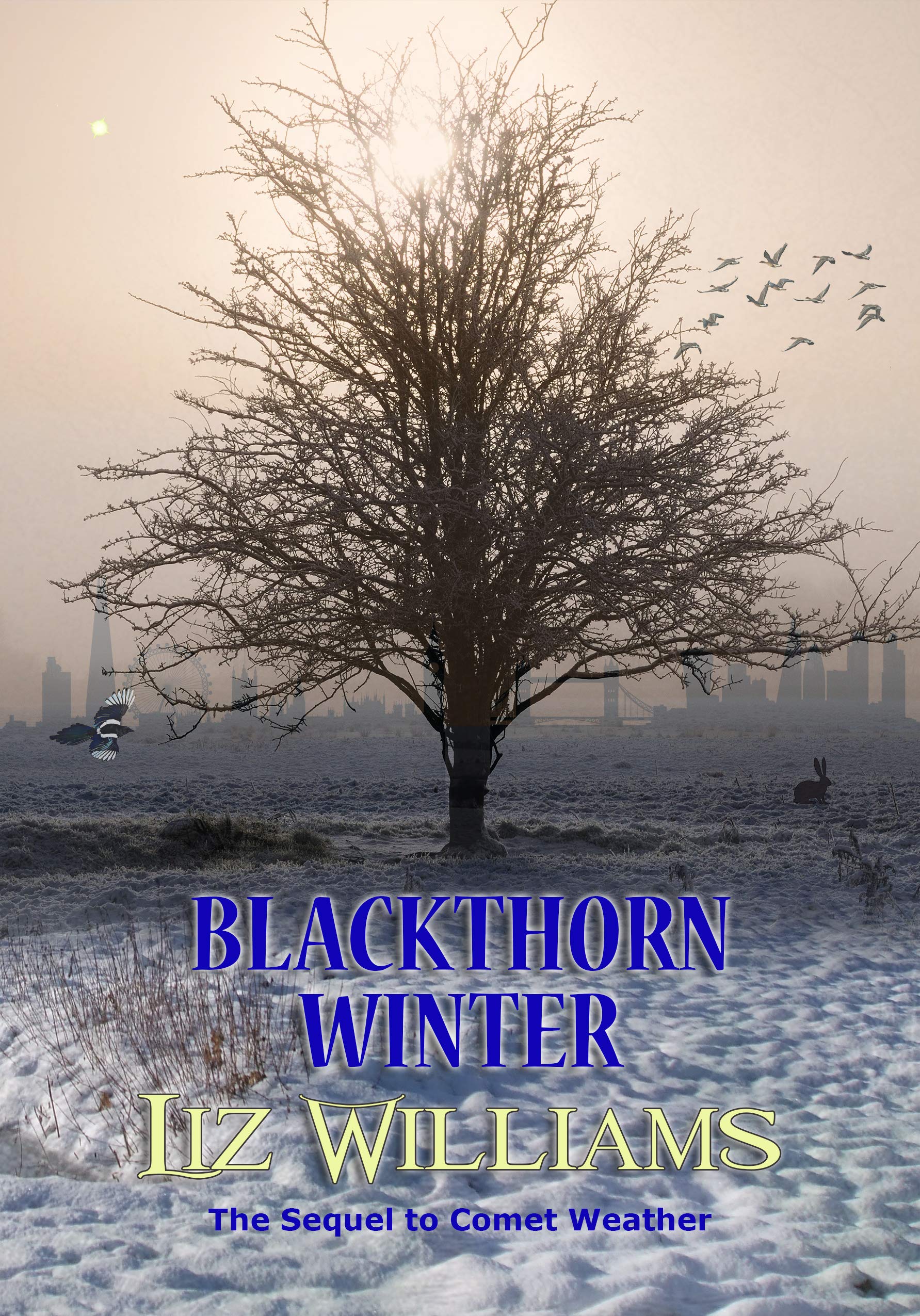 Fallow Sisters book cover 2
