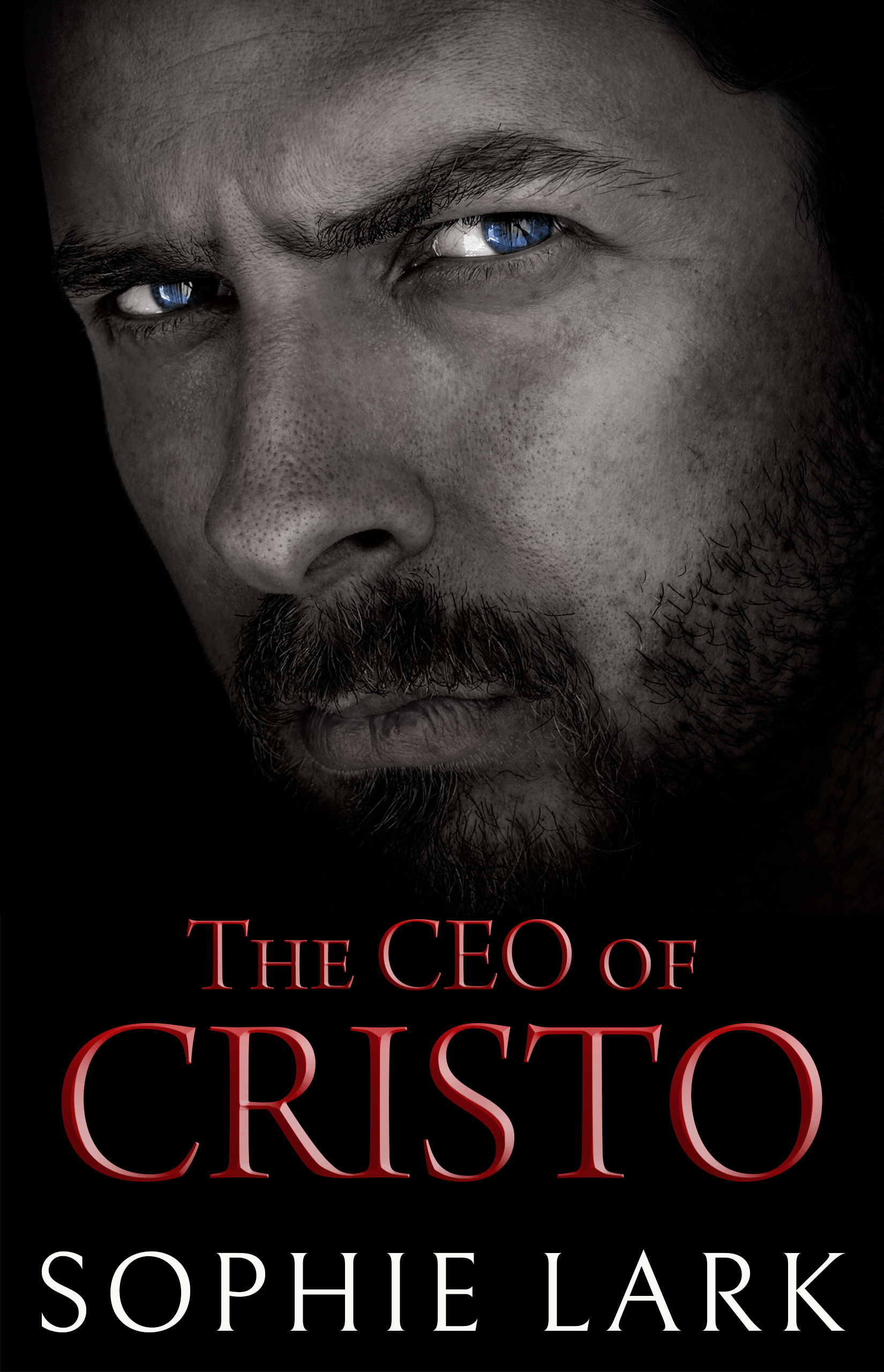 The CEO of Cristo book cover