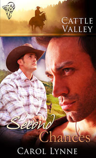 Second Chances book cover