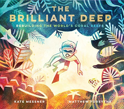 The Brilliant Deep book cover