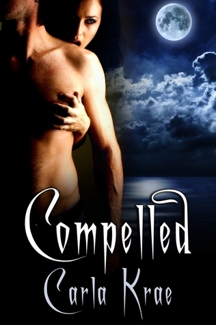 The Adam Chronicles book cover 2
