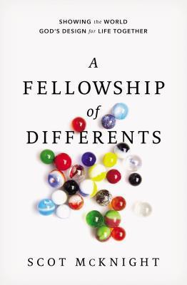 A Fellowship of Differents book cover