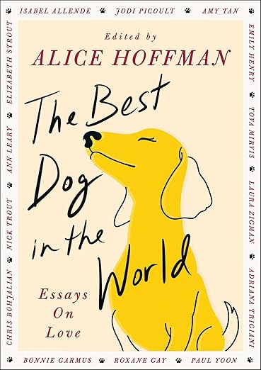 The Best Dog in the World book cover