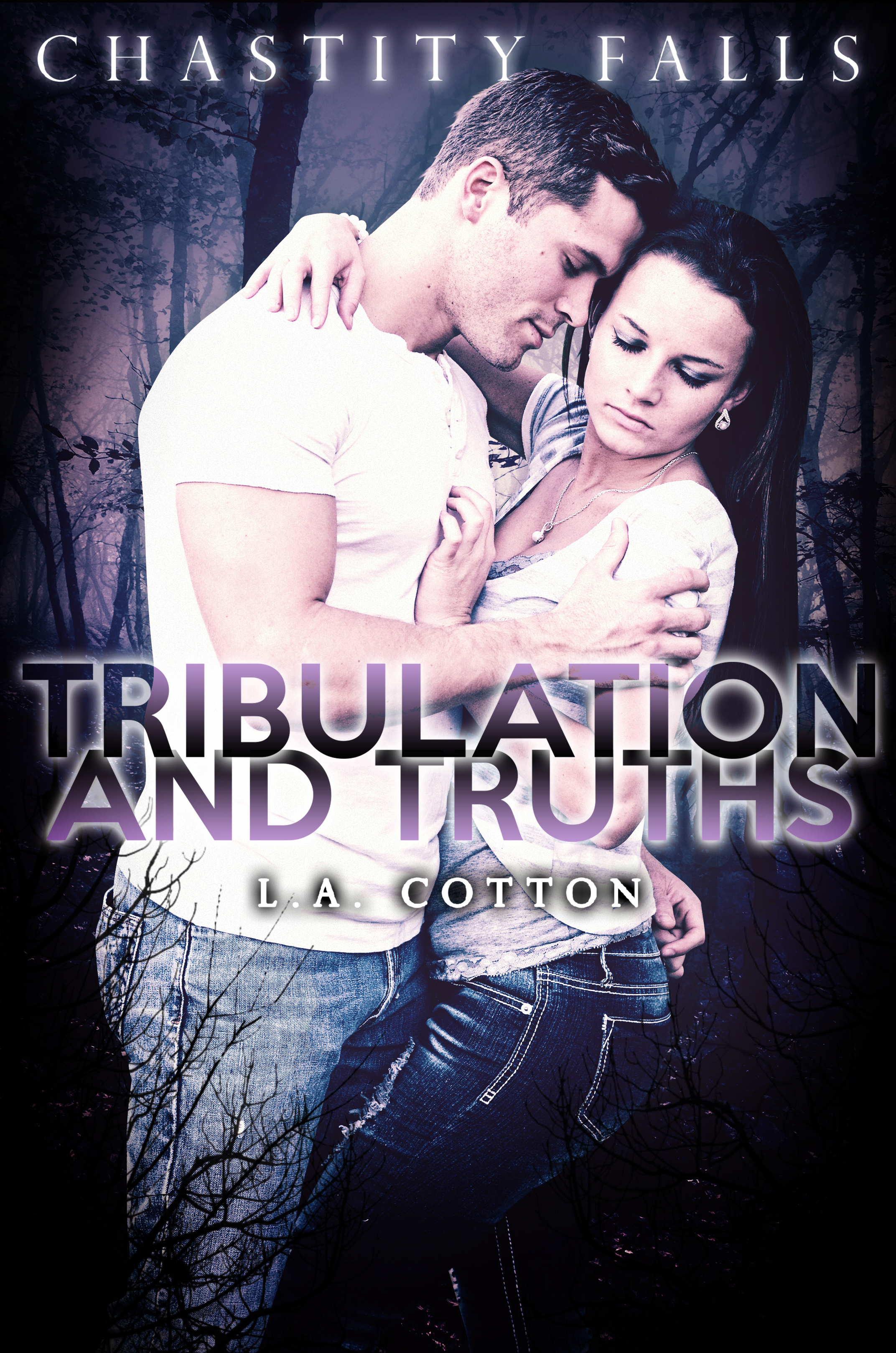 Chastity Falls book cover 3