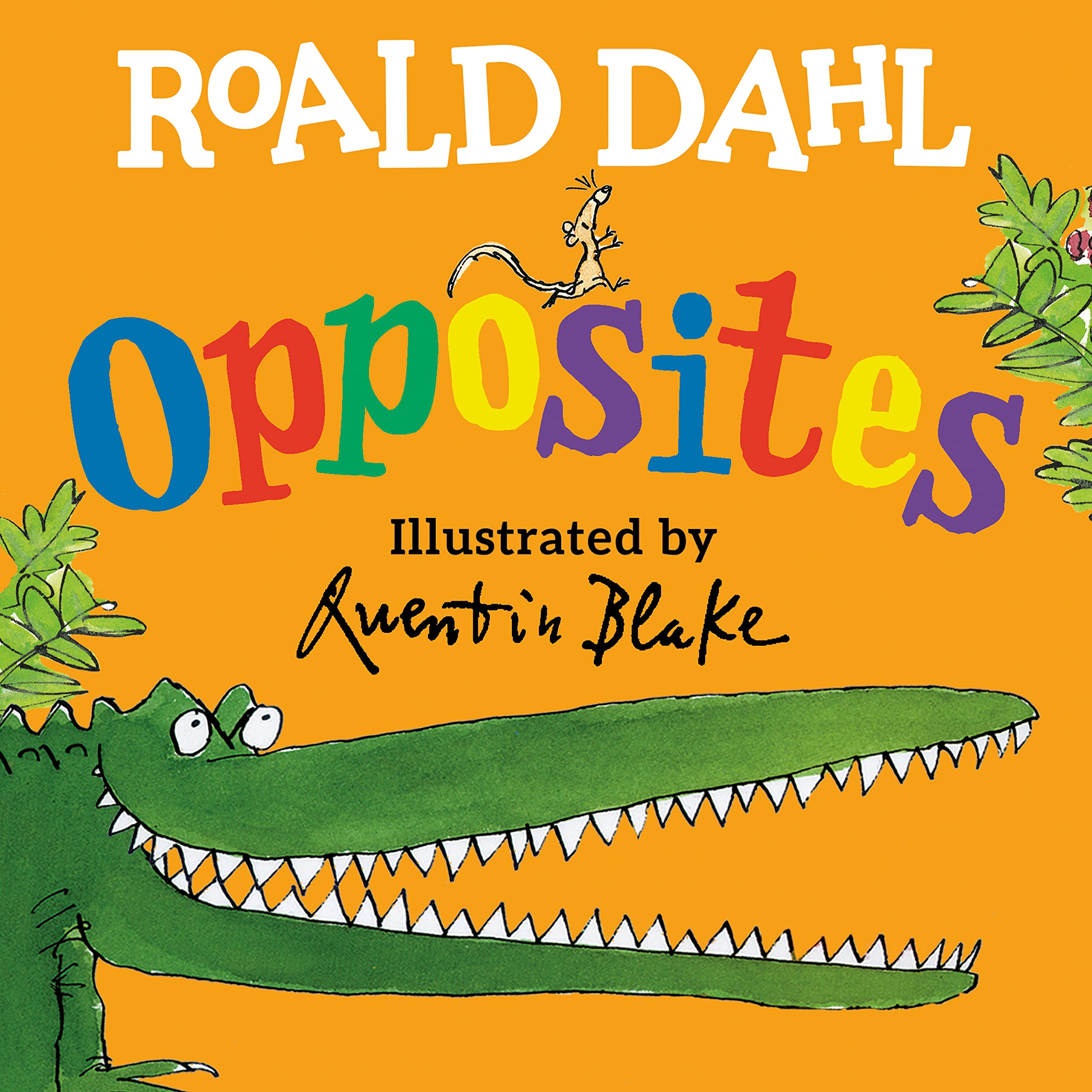 Roald Dahl Opposites book cover