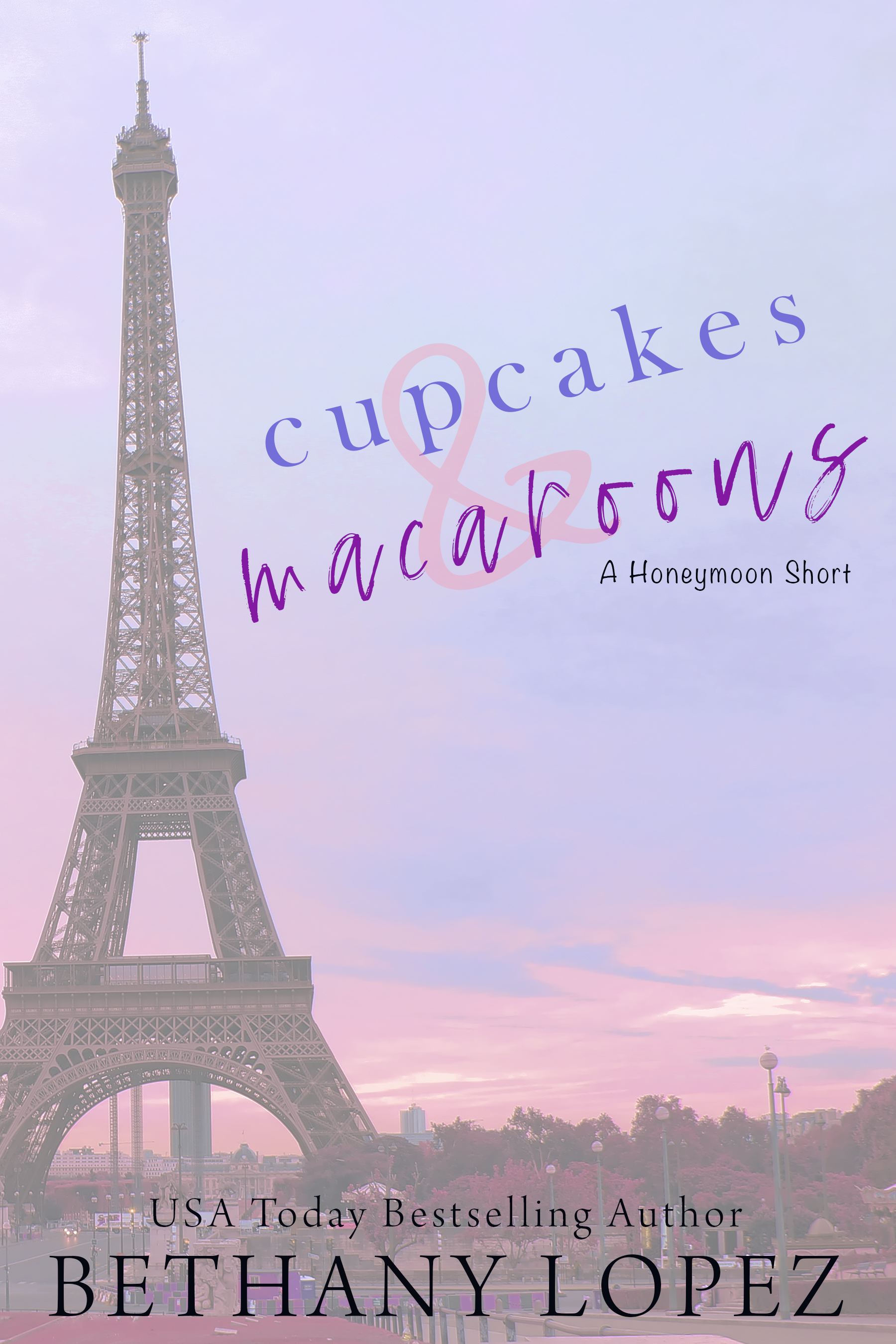 Cupcakes & Macarons book cover