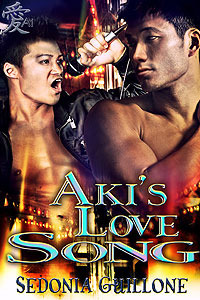 Aki's Love Song book cover