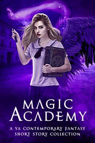 Magic Academy book cover