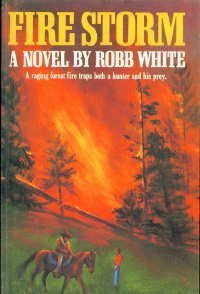 Fire Storm book cover
