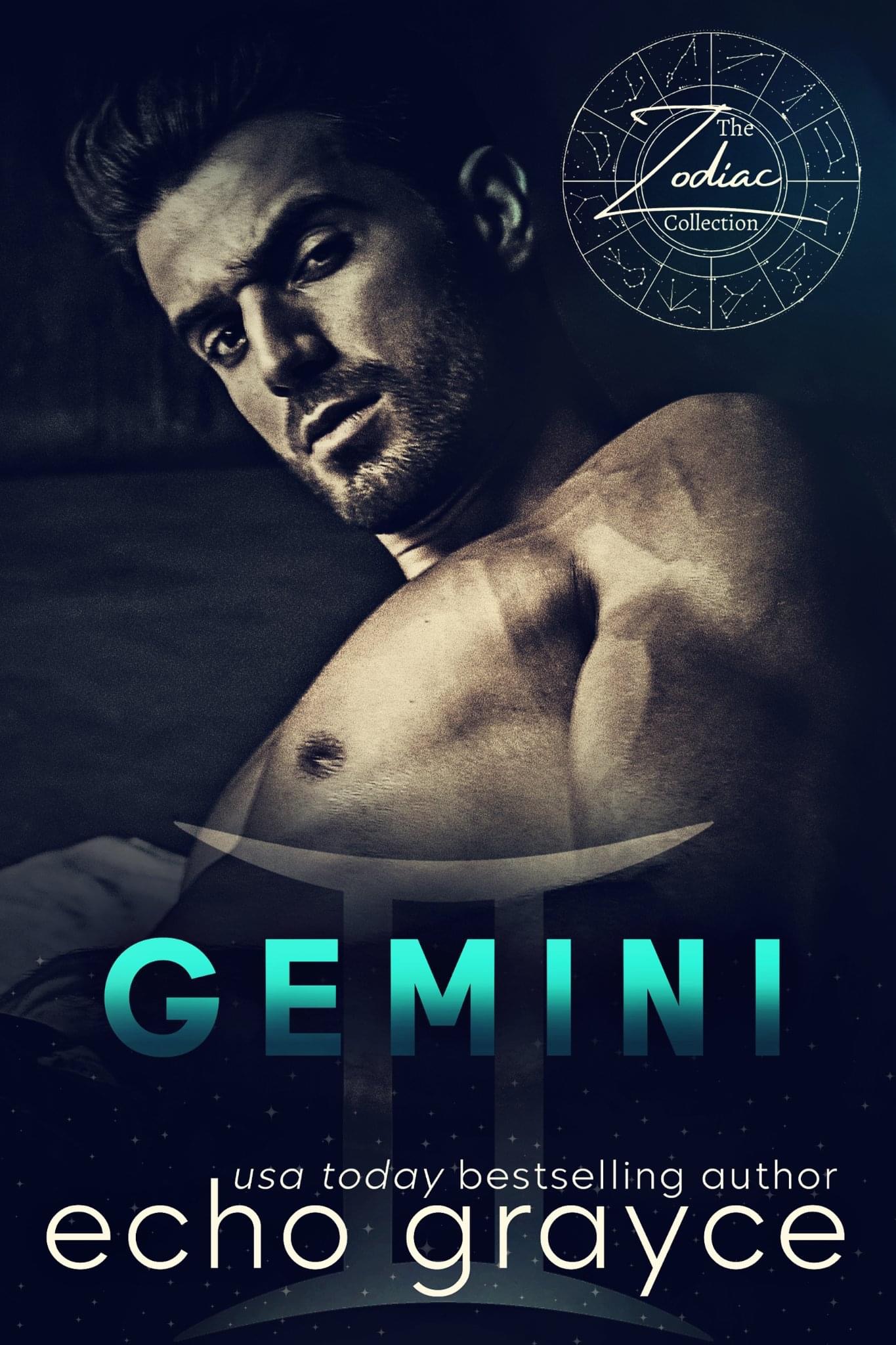Gemini book cover