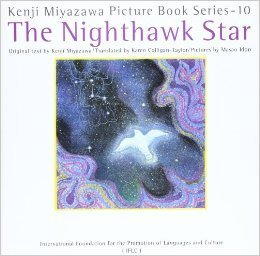 The Nighthawk Star book cover