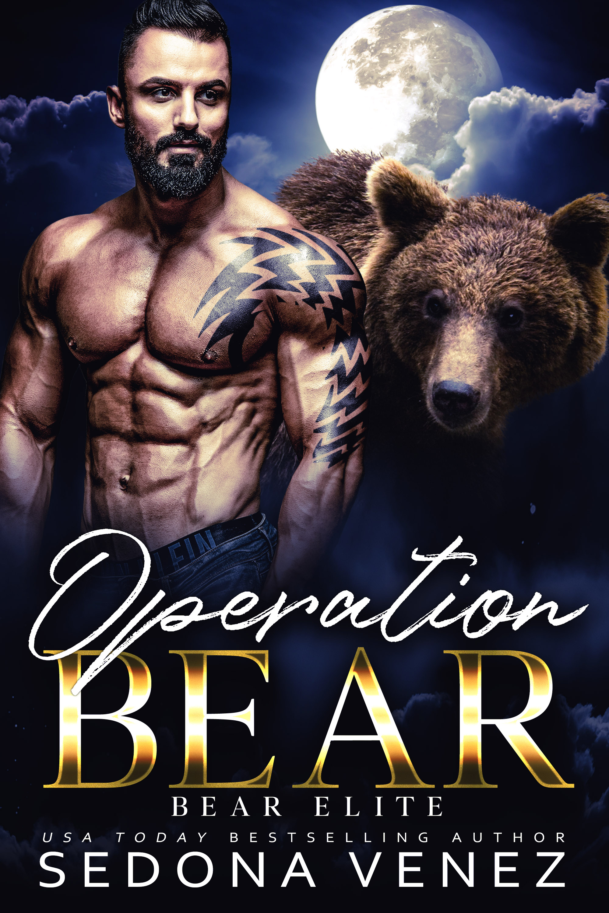 Operation Bear book cover