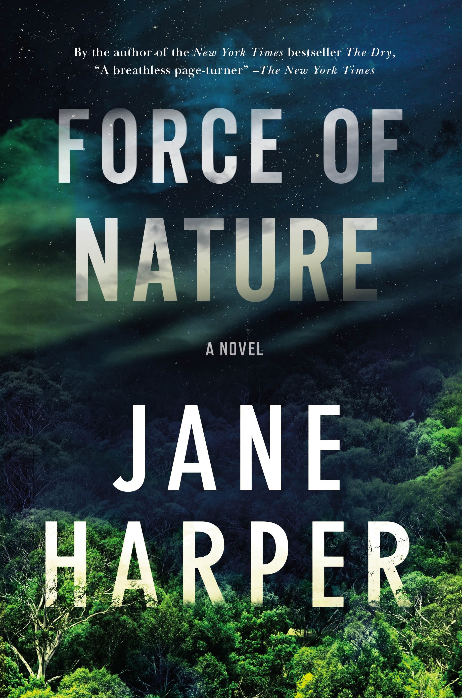 Aaron Falk book cover 2