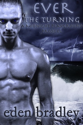 Midnight Playground book cover 1