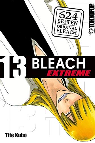 Bleach EXTREME 13 - Kehrseite book cover