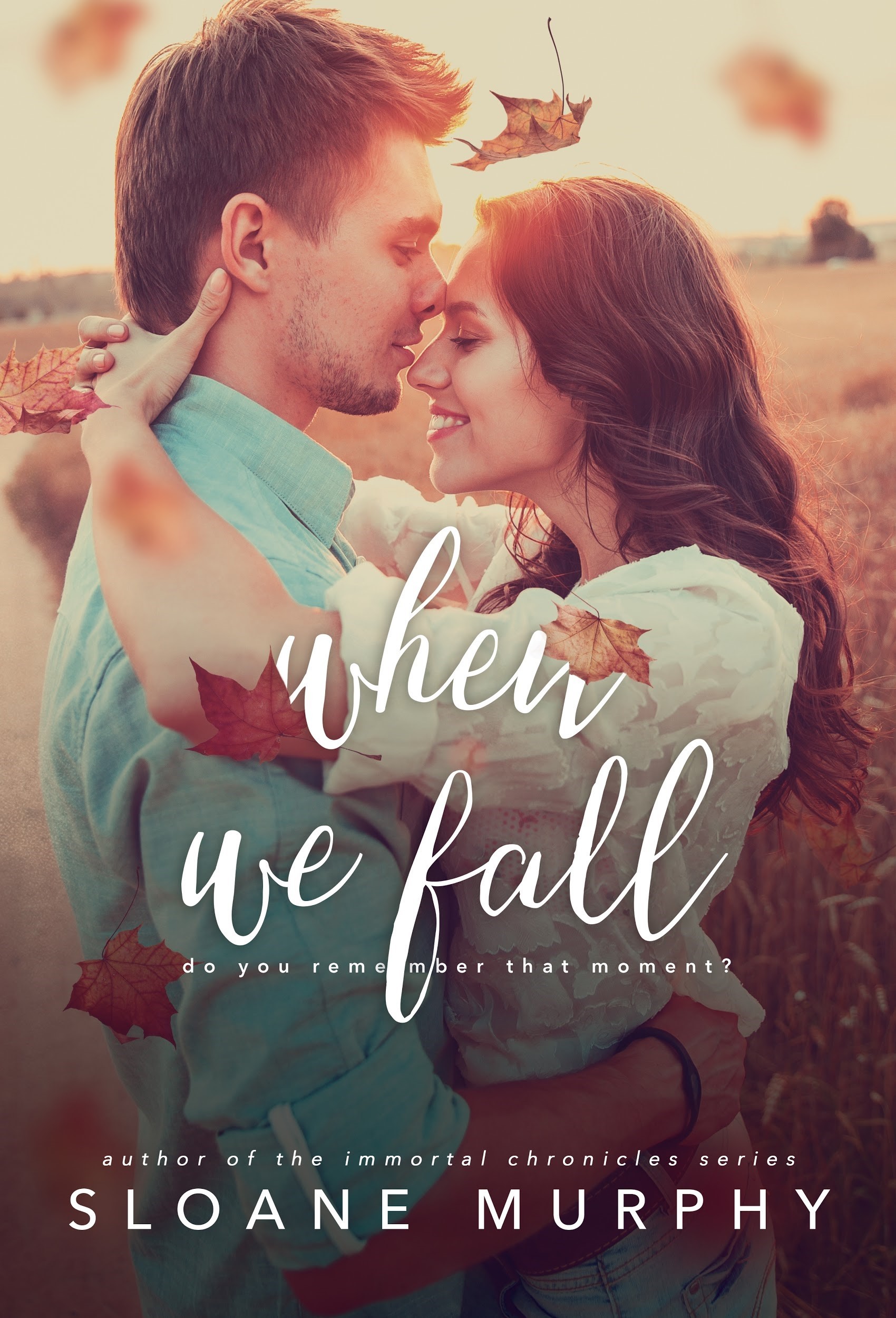 When We Fall book cover