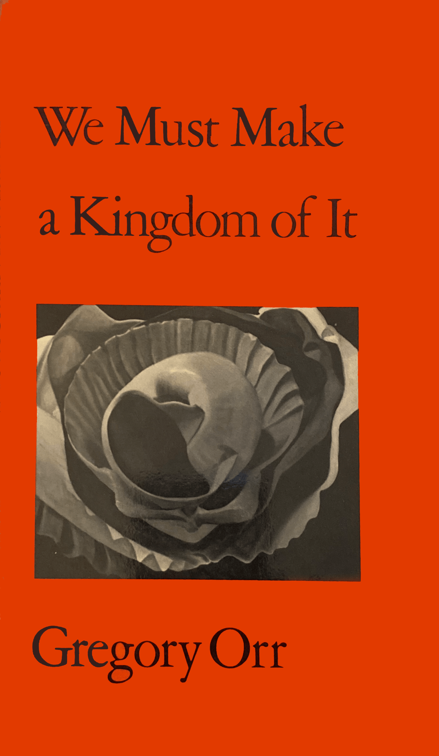 We Must Make a Kingdom of It book cover