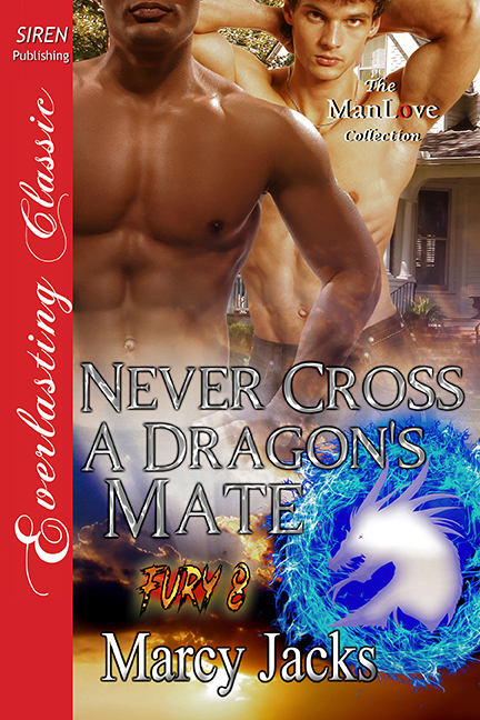 Never Cross a Dragon's Mate book cover