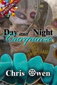 Night and Day book cover 2