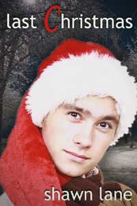 Last Christmas book cover