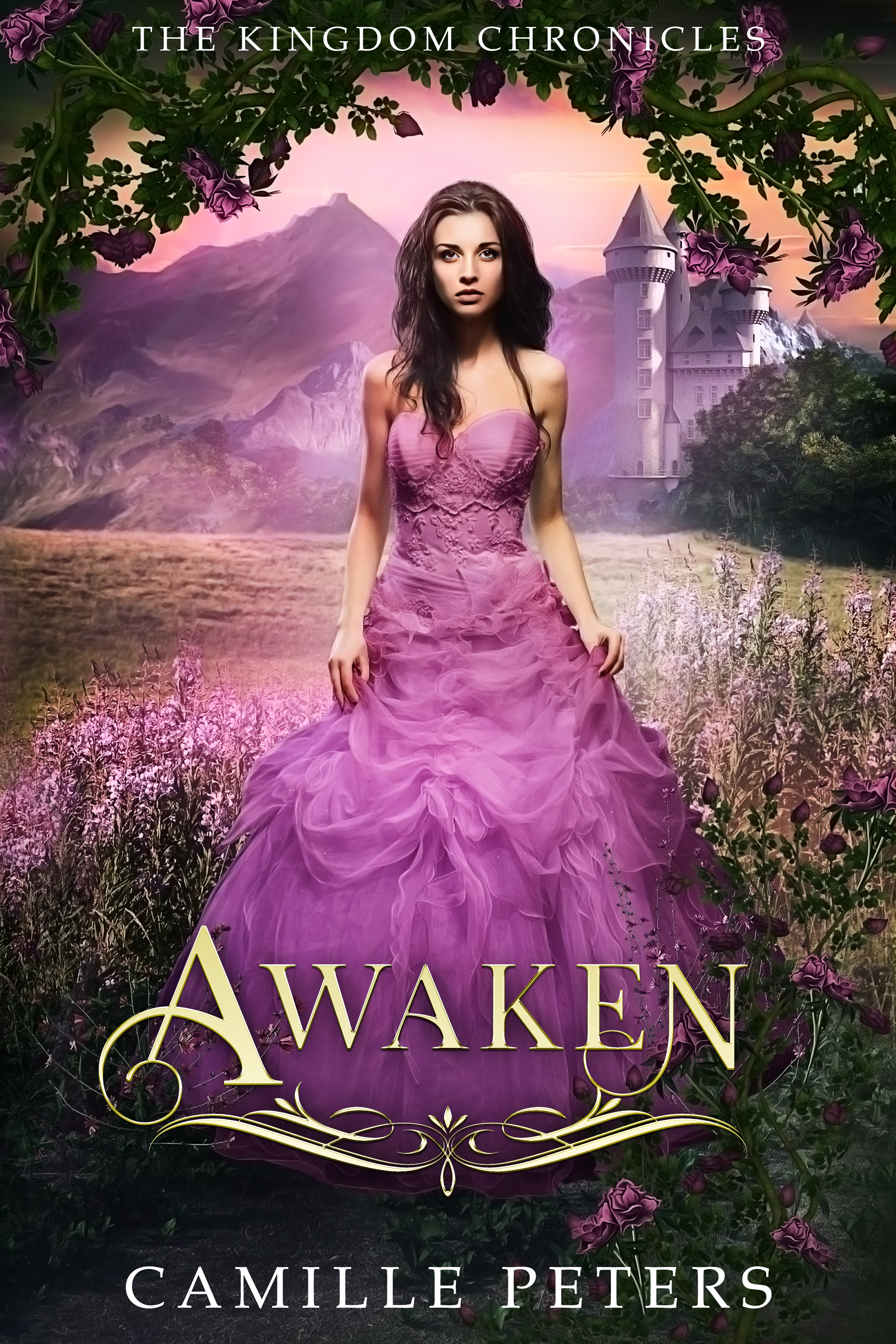 Awaken book cover