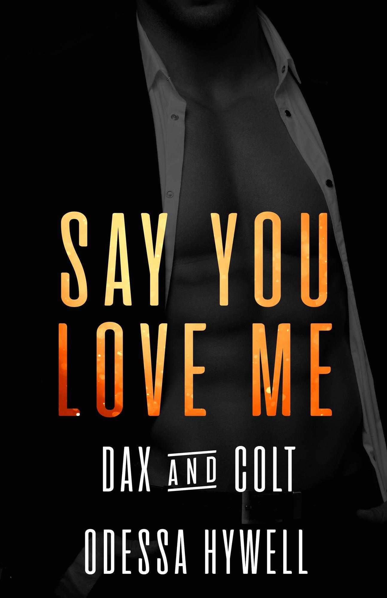 Say You Love Me book cover