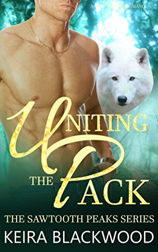 Protectors of Sawtooth Peaks book cover 3