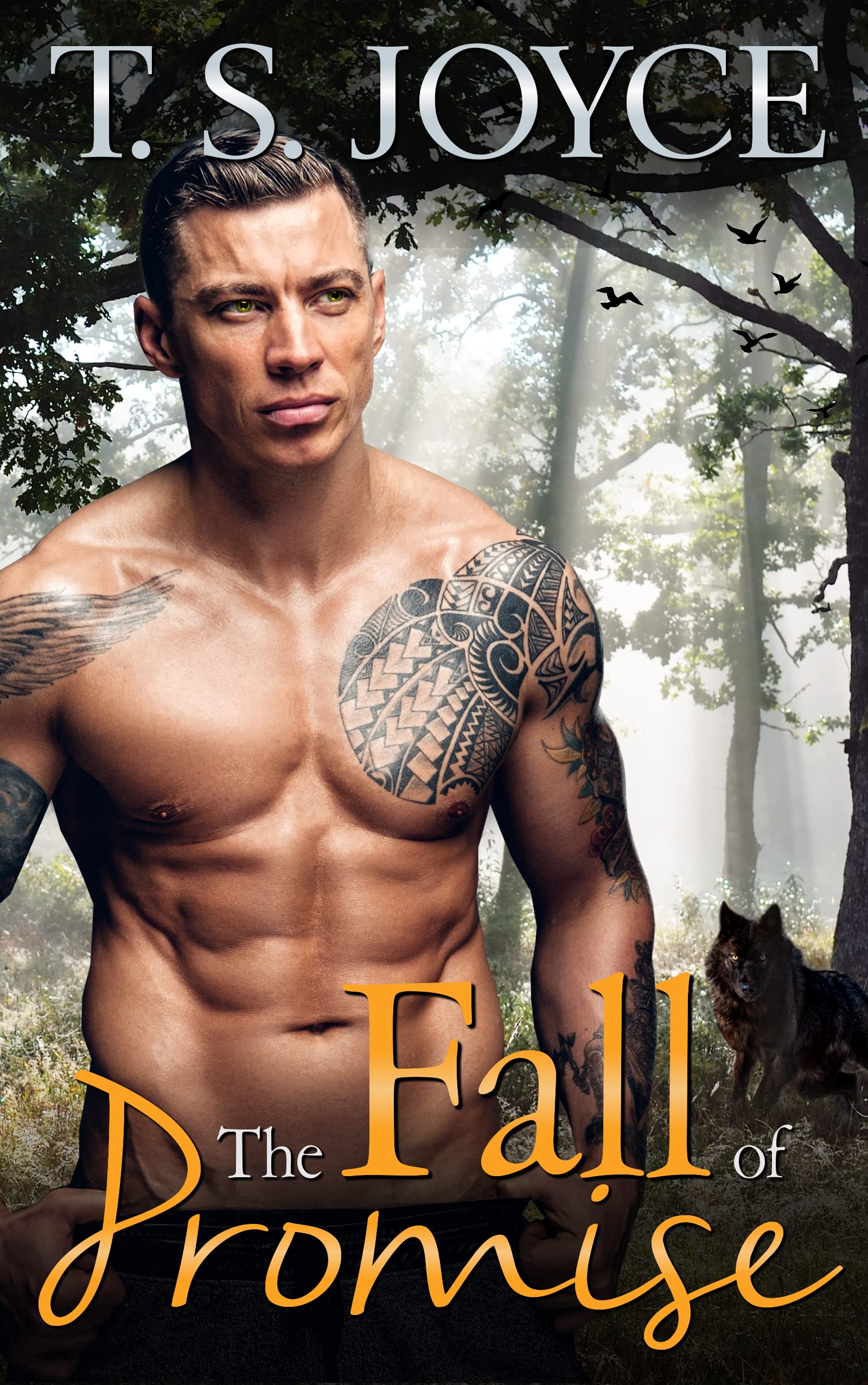 The Wolves of Promise Falls book cover 1