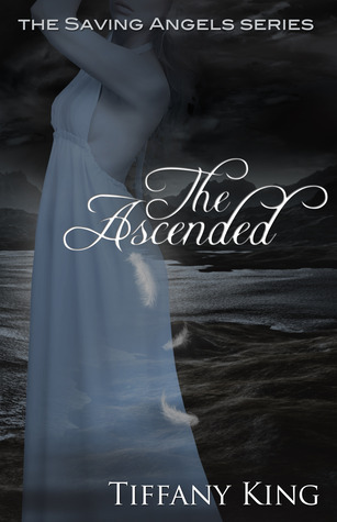 The Saving Angels book cover 3
