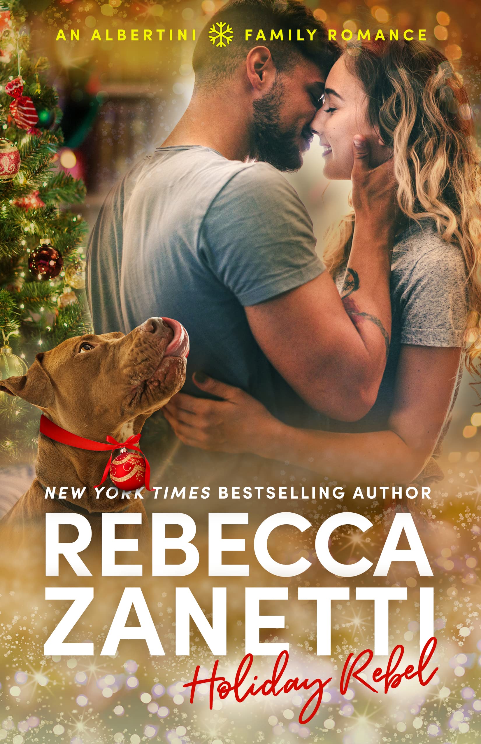 Holiday Rebel book cover