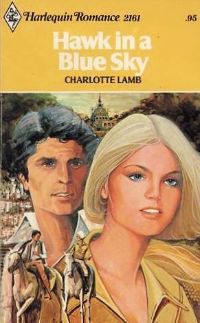 Hawk in a Blue Sky book cover