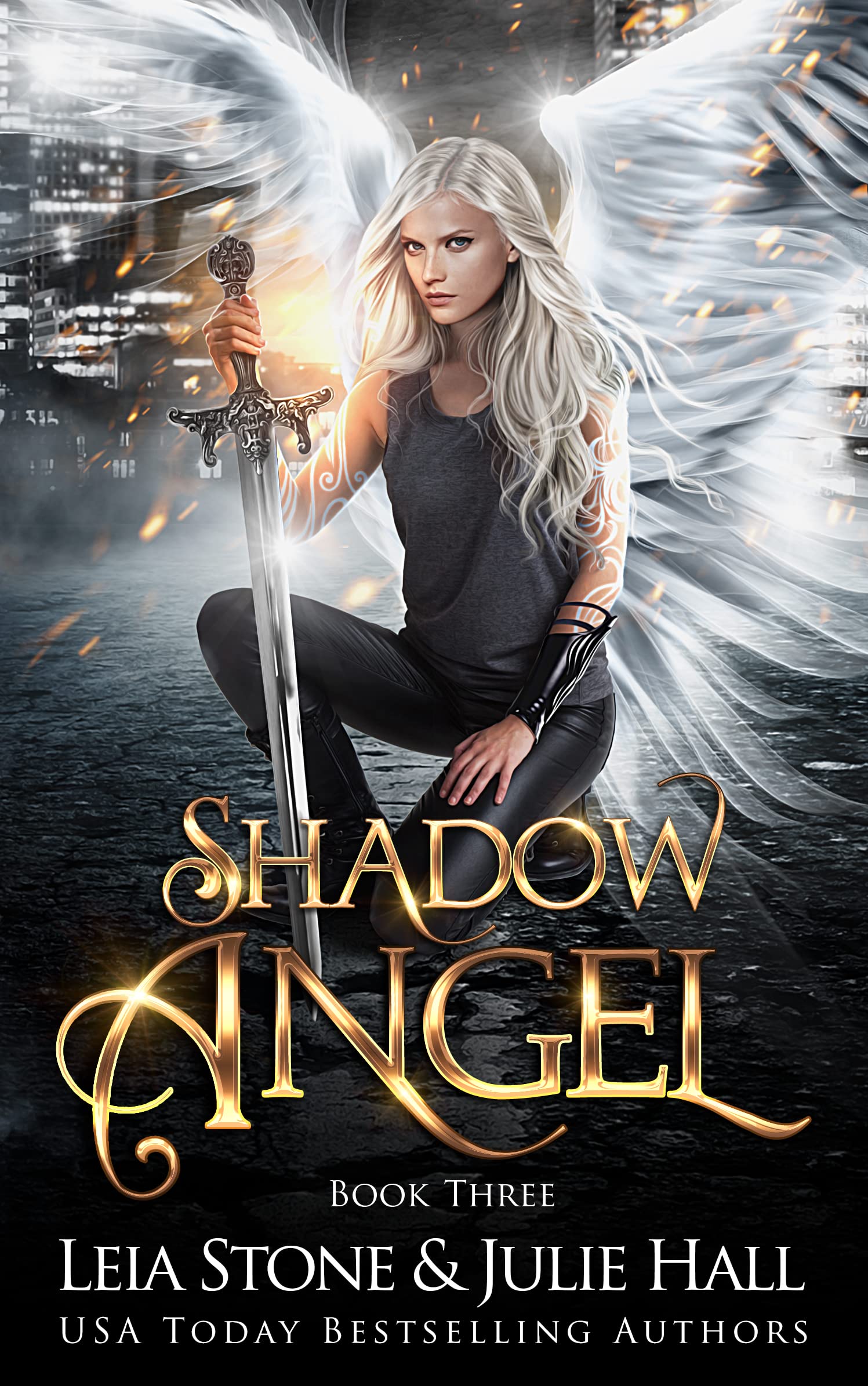 Shadow Angel book cover 3