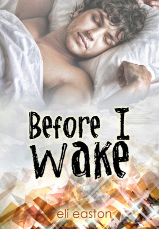 Before I Wake book cover