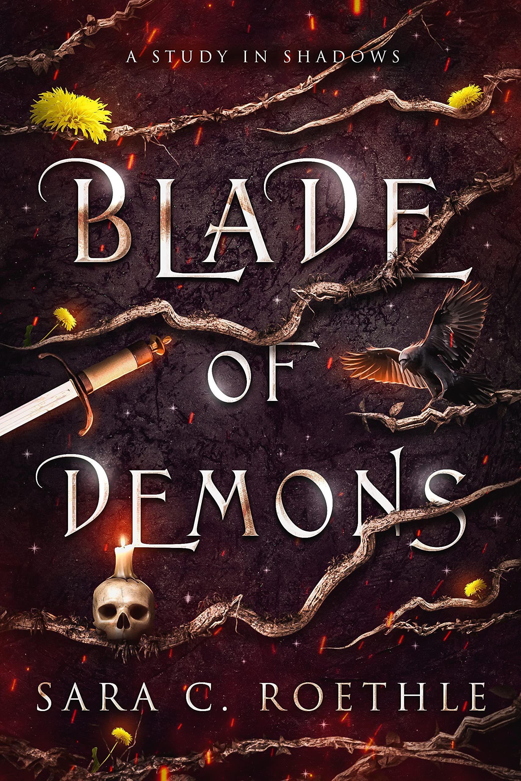 A Study in Shadows book cover 2