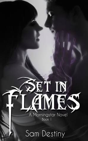 Morningstars book cover 1