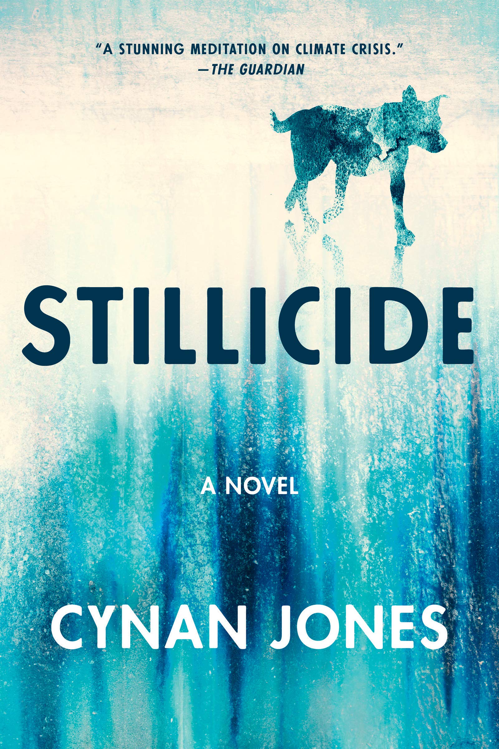 Stillicide book cover
