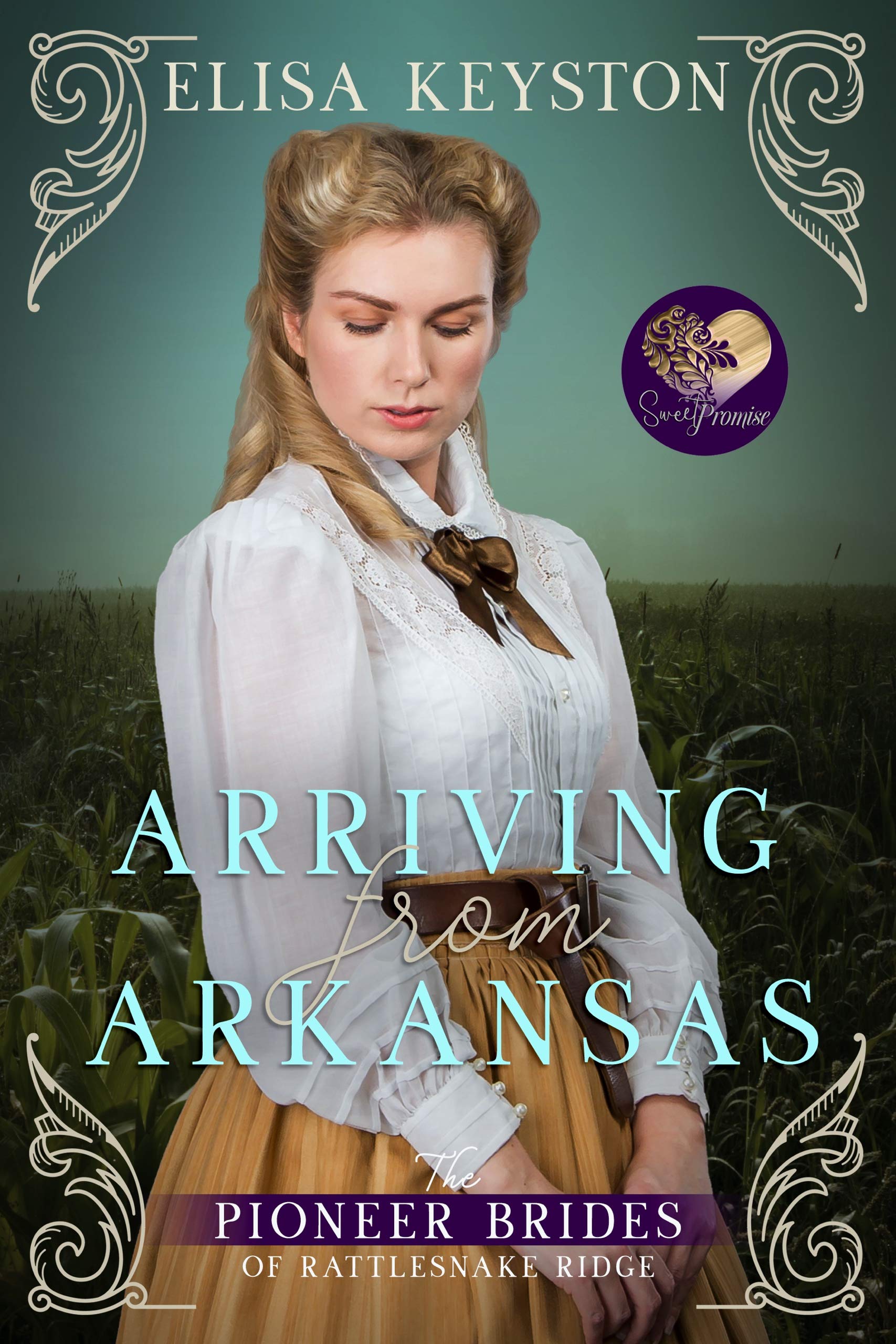 The Pioneer Brides of Rattlesnake Ridge book cover 1