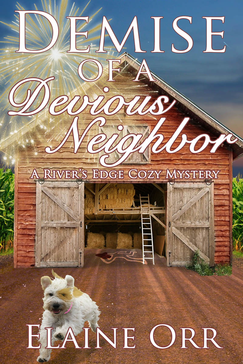 Demise of a Devious Neighbor book cover