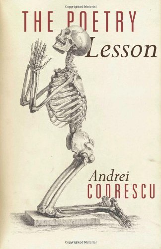 The Poetry Lesson book cover