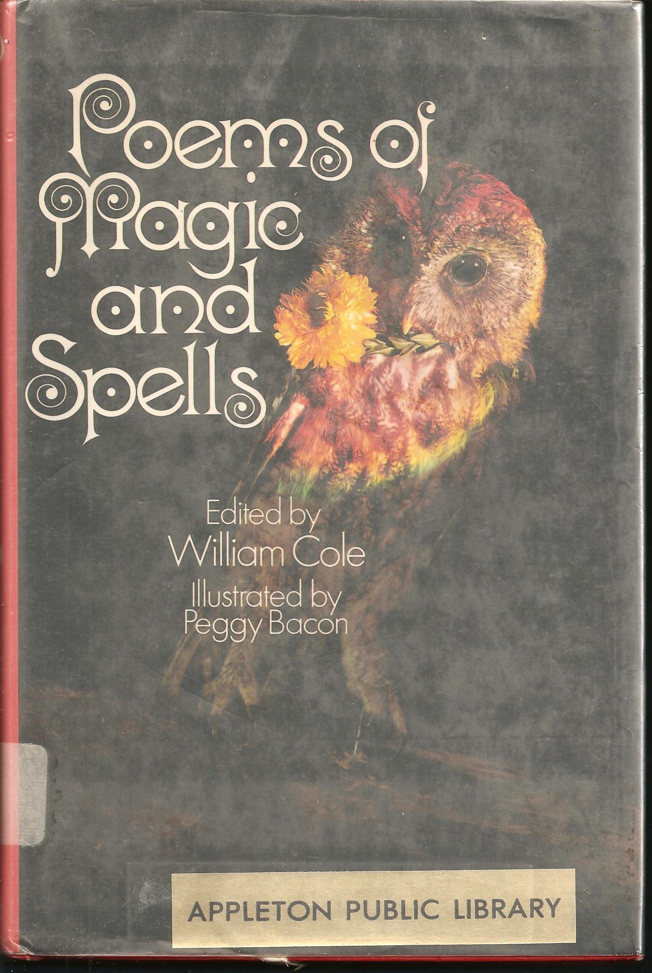 poems of magic and spells book cover