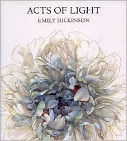 Acts of Light book cover