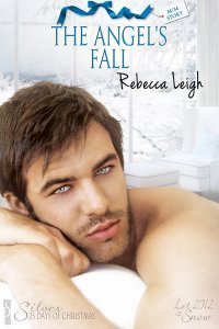 The Angel's Fall book cover