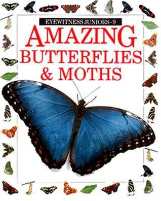 Amazing Butterflies and Moths book cover