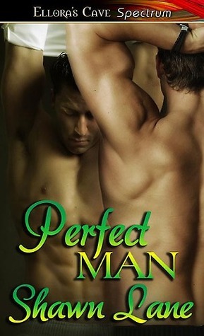 Perfect Man book cover