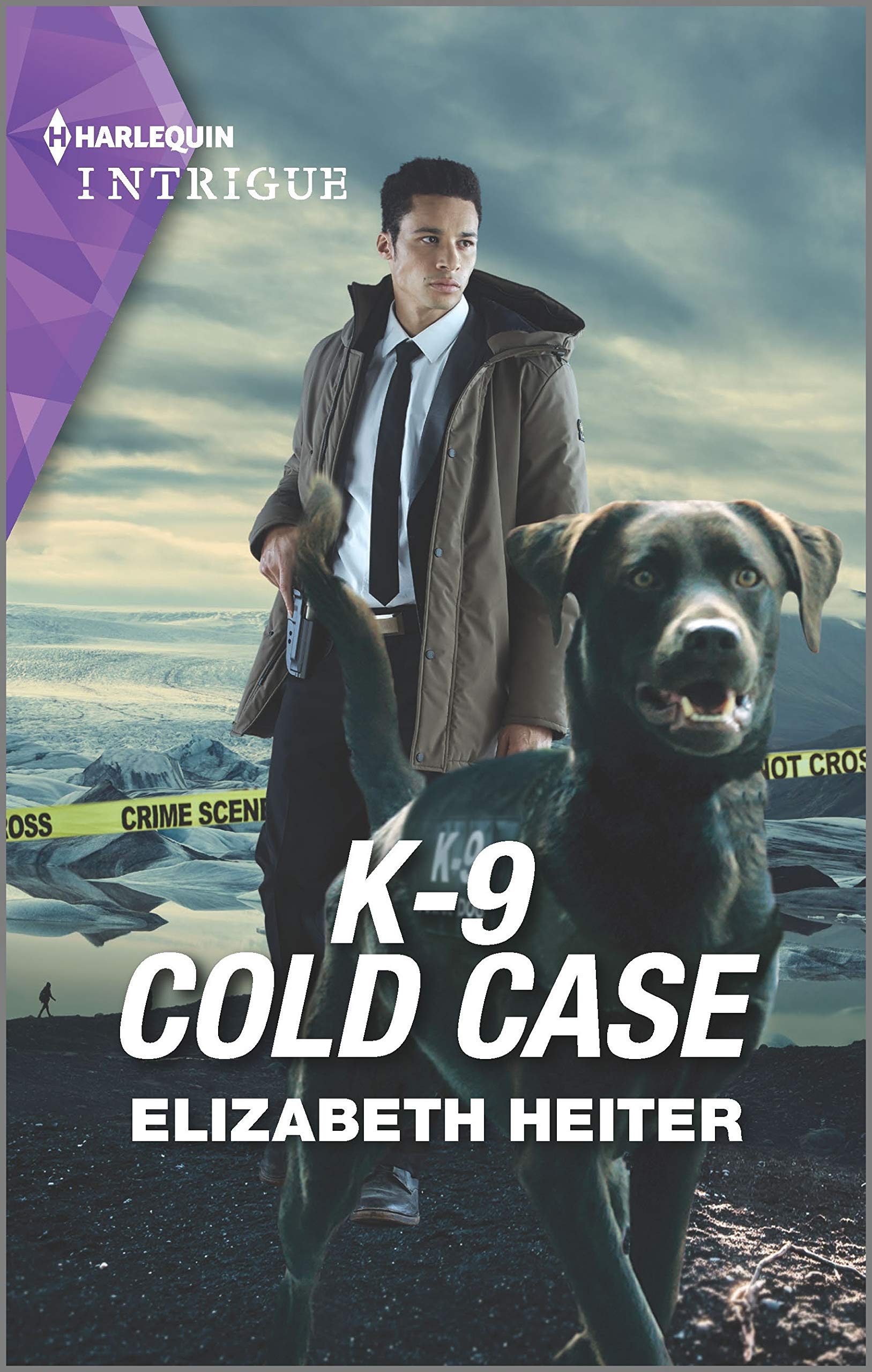 Unsolved Mystery book cover 3
