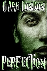 Perfection book cover