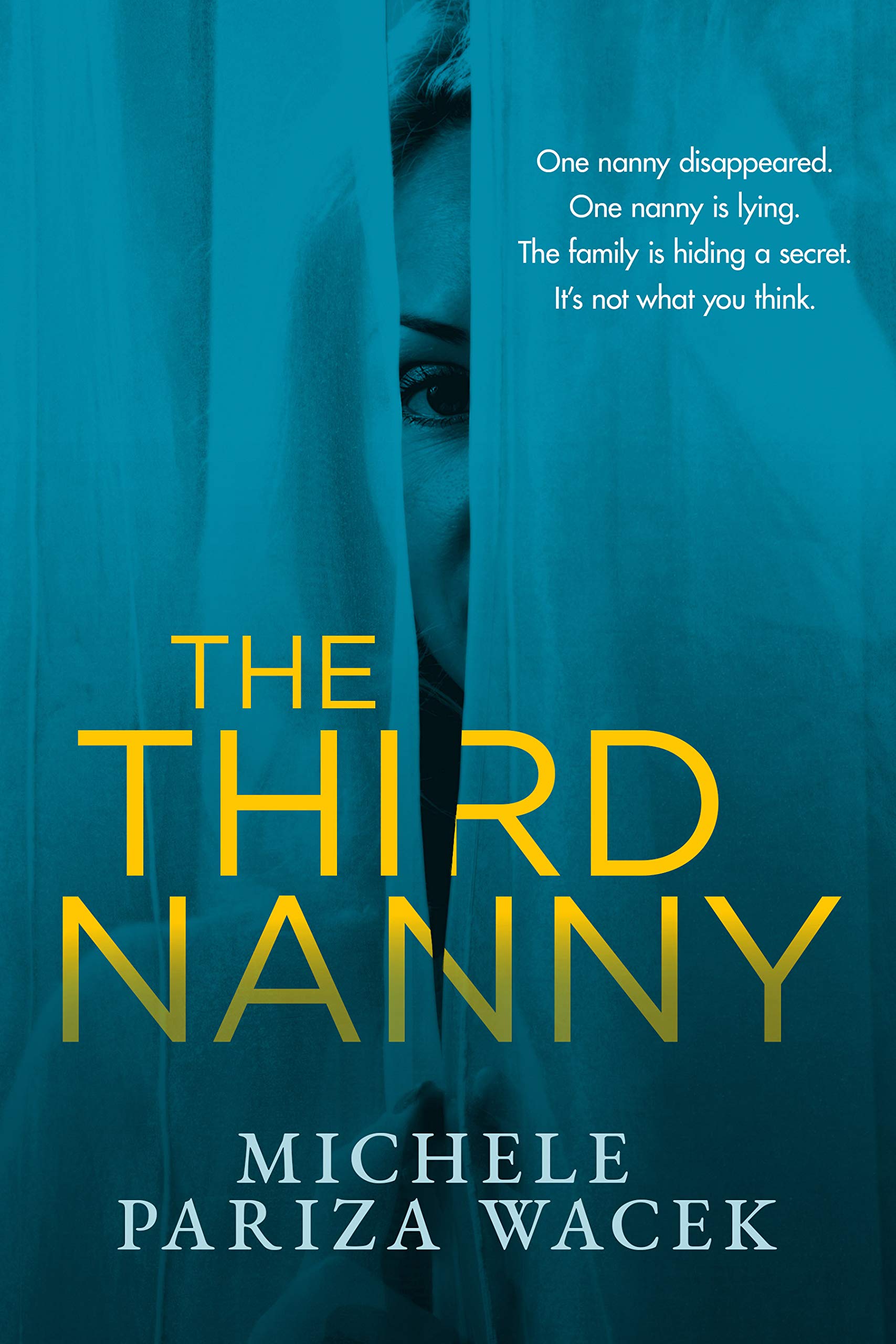 The Third Nanny book cover
